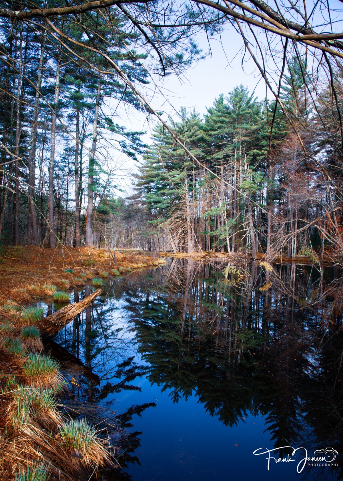 Saturday Landscape