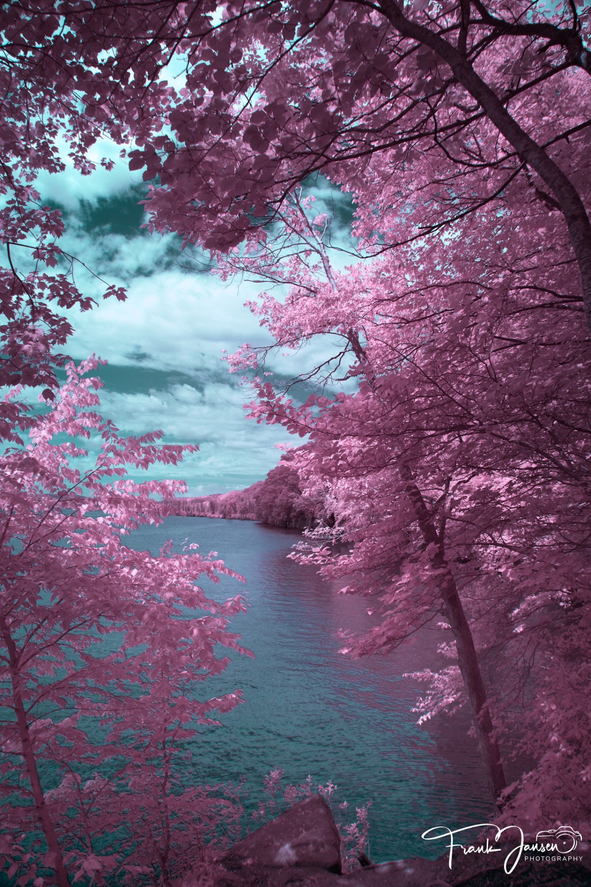 A Presentation on Infrared Photography