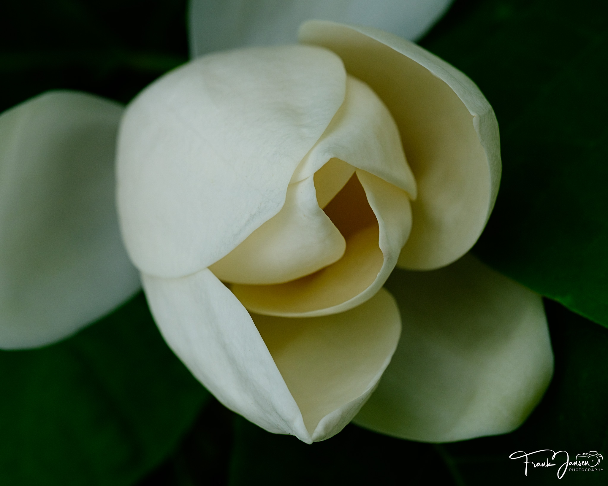 Patterns in Nature – ep. 1
